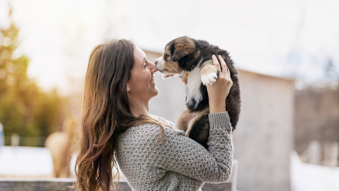  Embracing a Holistic Journey with Your New Puppy: A Guide to Natural Care