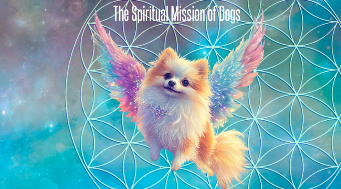 The Spiritual Mission of Dogs: Our Four-Legged Frequency Healers