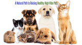 A Natural Path to Raising Healthy, High-Vibe Pets