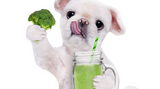  Can Dogs Eat Vegetables As Part of their Raw Diet?