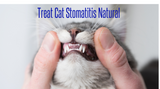 Understanding and Treating Stomatitis in Cats Naturally
