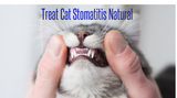 Understanding and Treating Stomatitis in Cats Naturally Understanding and Treating Stomatitis in Cats Naturally