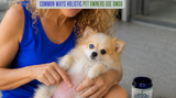 Common Ways Holistic Pet Owners Use DMSO