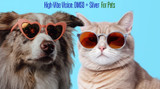 High-Vibe Vision: DMSO + Silver Eye Support for Your Pet High-Vibe Vision: DMSO + Silver Eye Support for Your Pet