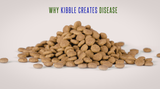 Why Kibble Creates Disease