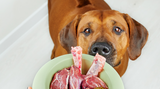 The Issues of Starch in Pet Foods
