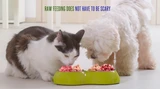 Raw Feeding Does Not Have To Be Scary