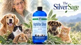 The Silver Sage: A Holistic Way to Think About Colloidal Silver for Pets