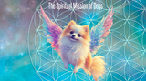 The Spiritual Mission of Dogs: Our Four-Legged Frequency Healers The Spiritual Mission of Dogs: Our Four-Legged Frequency Healers