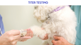 Titers and Immunity: What You Need to Know for Your Pet's Health Titers and Immunity: What You Need to Know for Your Pet's Health