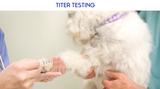 ​Titers and Immunity: What You Need to Know for Your Pet's Health