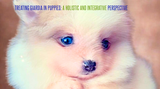 Treating Giardia in Puppies: A Holistic and Integrative Perspective