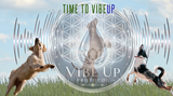 Learn About Living The High Vibe Life
