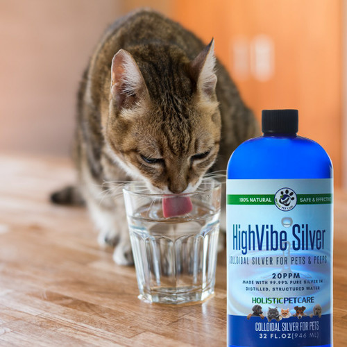 Colloidal Silver for Pets - All Sizes | Holistic Pet Care