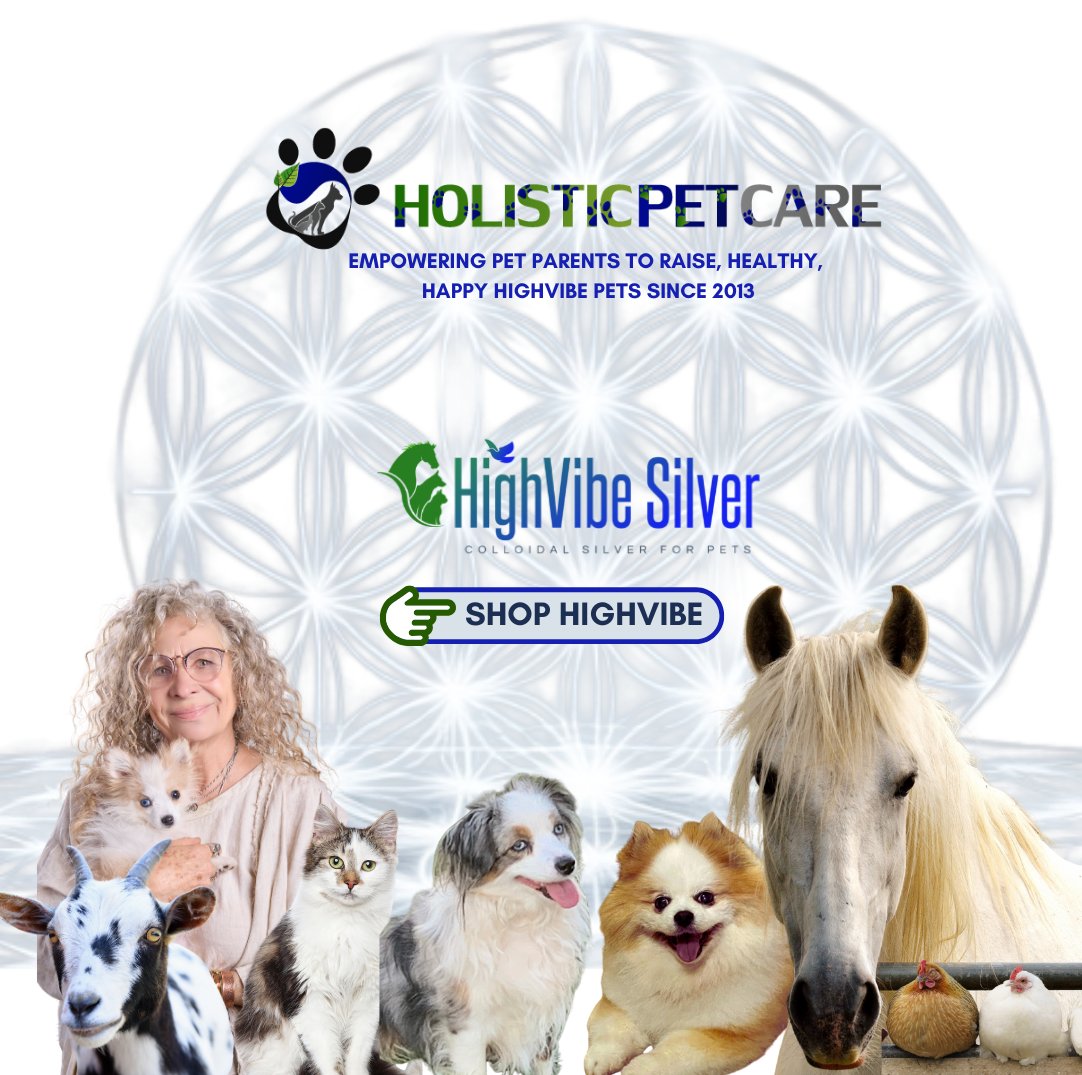 holistic pet care, best colloidal silver for pets, best homeopathic/ neopathic pet care