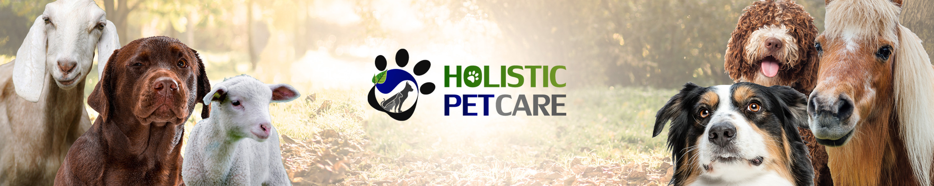 holistic pet care, best colloidal silver for pets, best homeopathic pet care