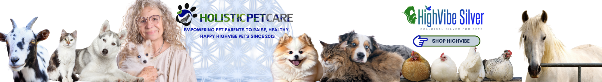 holistic pet care, best colloidal silver for pets, best homeopathic pet care