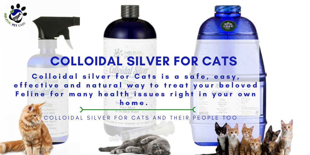 colloidal silver cats eyes