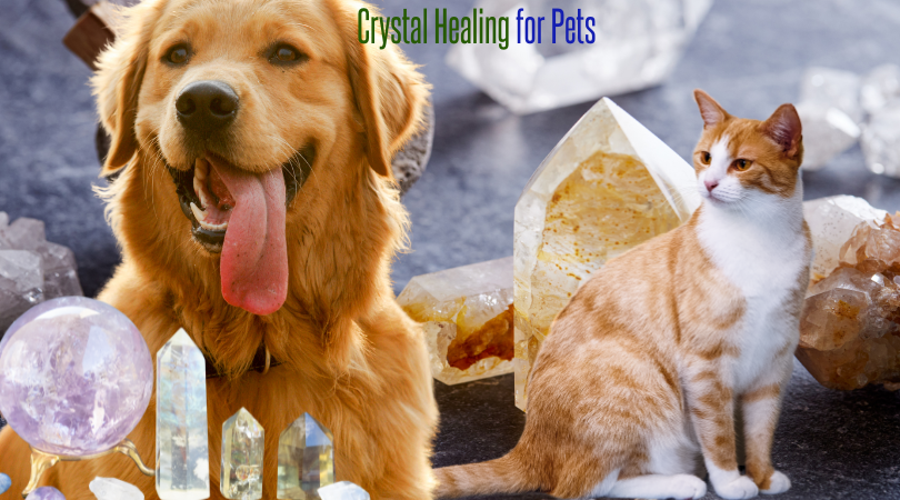 Crystal Healing for Pets Holistic Pet Care