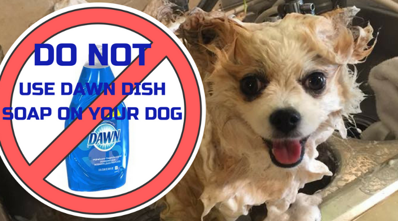 can i wash my dog with dawn dish soap