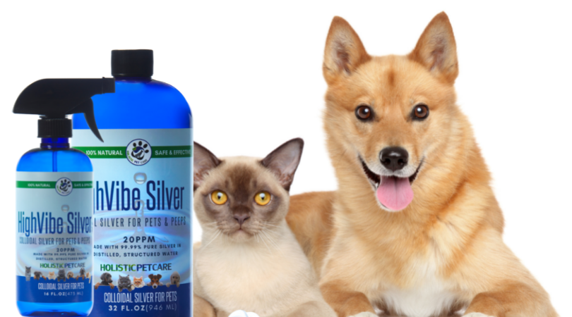 Pet Colloidal Silver | Colloidal Silver | Glacier Peak Holistics