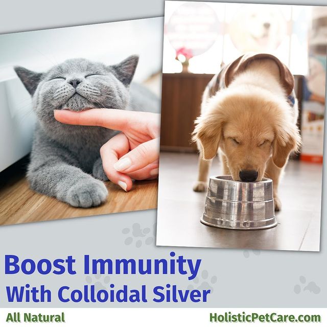 Boost Immunity