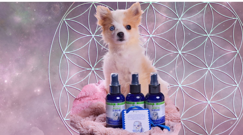 Thumbnail for Holistic Calming Solutions For Cats