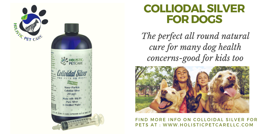 Colloidal Silver For Dogs - Holistic Pet Care