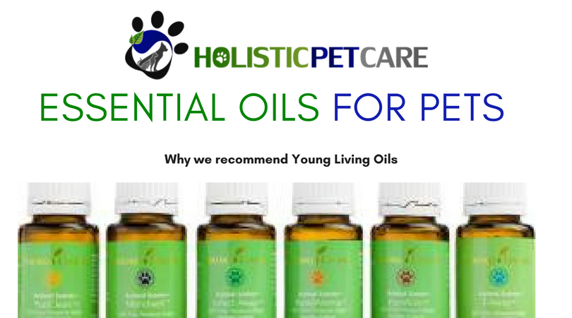 essential-oils-for-pets-1-.png