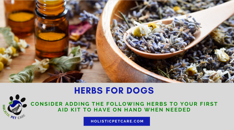 herbs-for-dogs.png herbs-for-dogs.png