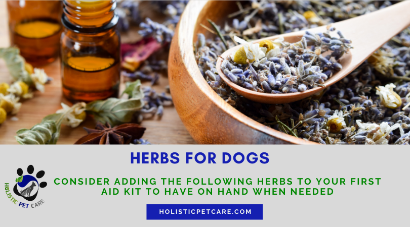 herbs-for-dogs.png