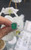 18ct White Gold Emerald & Diamond Ring 18ct White Gold Emerald & Diamond Ring
