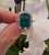 18ct Yellow Gold Ring featuring a 5.85 carat Emerald with natural Diamonds