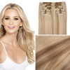 Pale Ash Blonde Cashmere Hair Classic Clip In Extensions