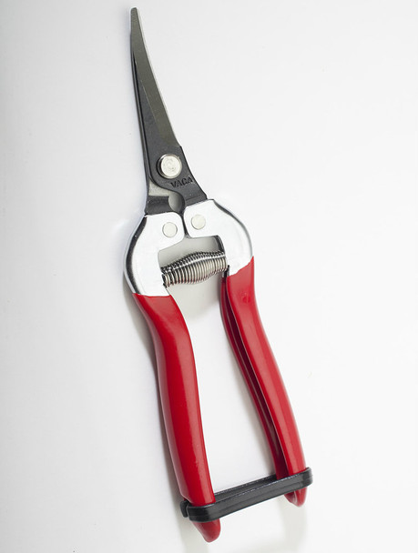 Grape Clippers - 7" Carbon Steel w/ Curved Blade (5121)