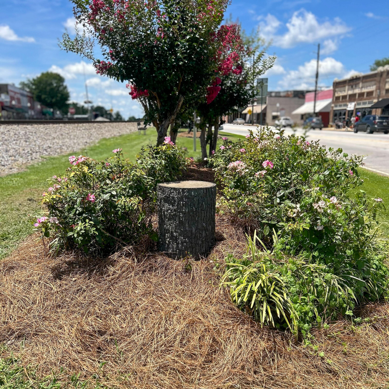 Tree Stump 4G / Wi-Fi Live Stream Remote View 4K Hidden Camera w/ DVR ...