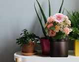 Flower Pot Hidden 4K Camera w/ DVR, Battery & WiFi Remote View