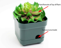 Planter Hidden Camera w/ DVR & Battery