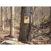 Solar Powered Birdhouse Night Vision Hidden Camera w/ DVR & Battery