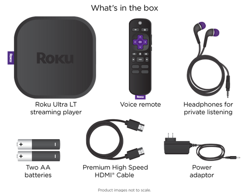 roku spy camera