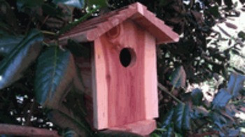 Birdhouse Hidden Camera w/ DVR & Battery (Spy-Max Guardian AE-BD3090 728795617233 Hidden Cameras) photo