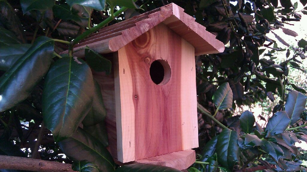 Birdhouse Hidden Camera w/ 4G Cellular Remote Viewing (Spy-Max Guardian W4GBH 728795620103 Hidden Cameras) photo