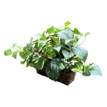 Fake Plant Hidden Camera w/ Battery, DVR & WiFi Remote View (HE-WiFi-540BT 682384069240 Hidden Cameras) photo