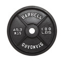 Troy USA Sports Black Cast Iron Olympic Plate- 100 lb