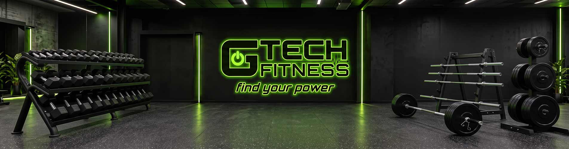 Gym Free Weights in Commercial Fitness Room