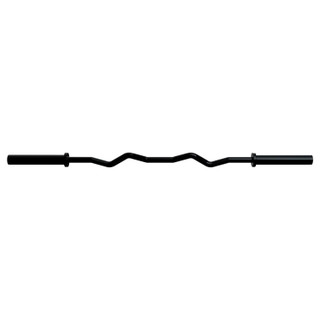 Troy 5' Curl Bar