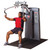 Body-Solid (#DPEC-SF) Pec Fly/Rear Delt Body-Solid (#DPEC-SF) Pec Fly/Rear Delt