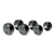 Troy (#TSD-R) 12-Sided Rubber Dumbbells Troy (#TSD-R) 12-Sided Rubber Dumbbells