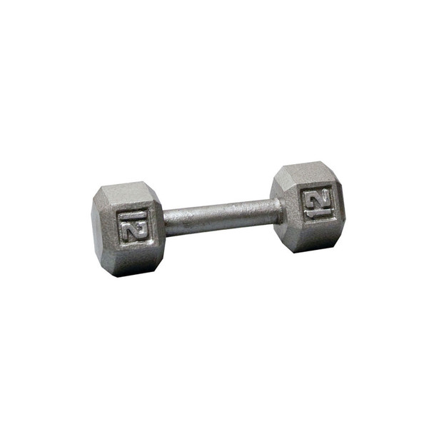 Body-Solid 12 lb Six-Sided Iron Dumbbell with Silver Weight Marking