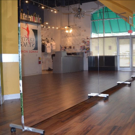 LiteMirror Glassless Rolling Dance Mirrors for Dance Studios and Fitness Centers